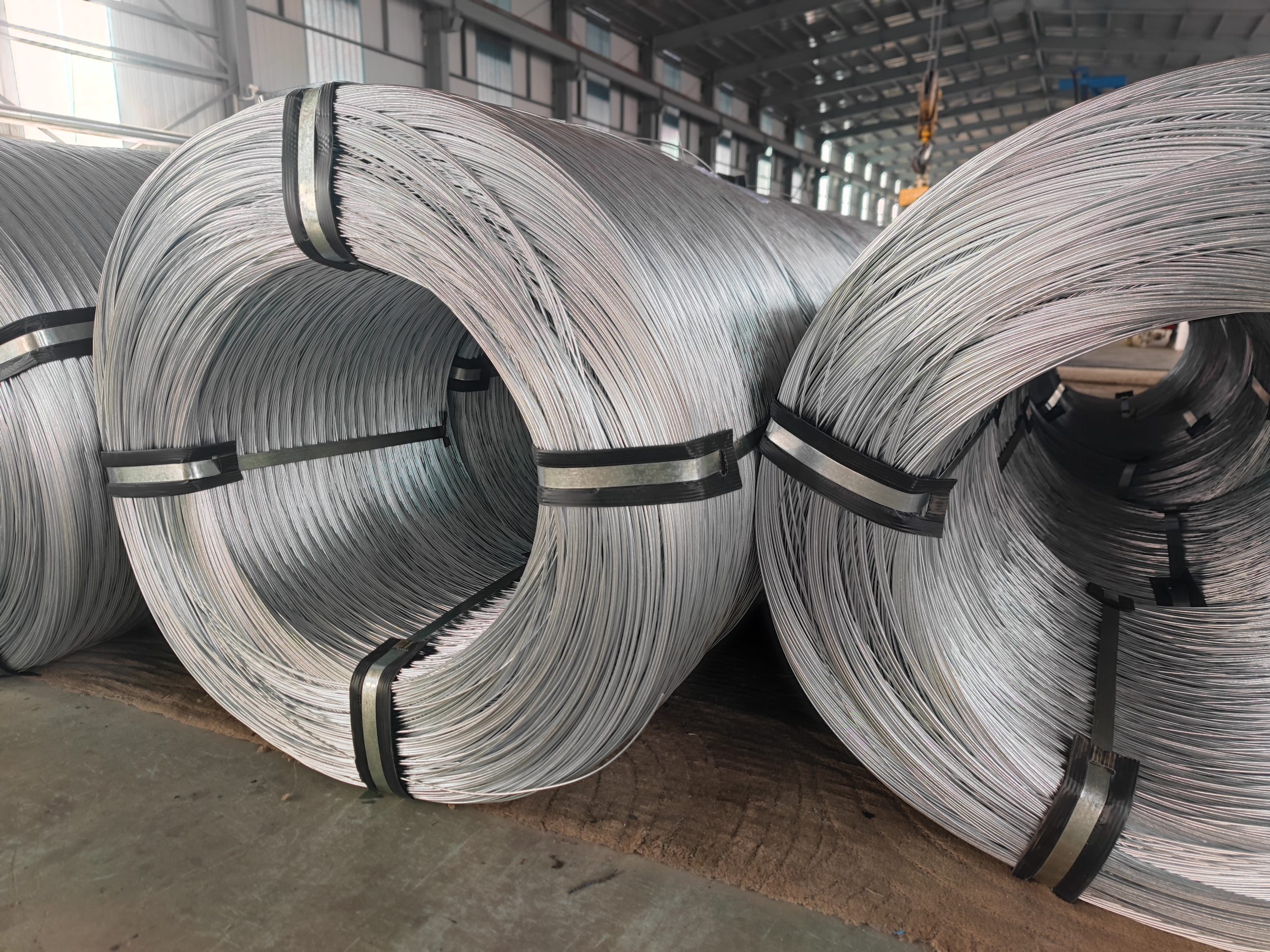 Coil Product
